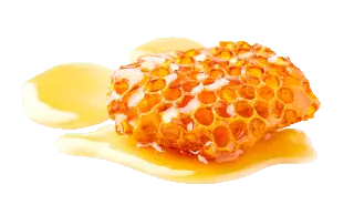 Мёд