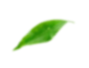 Лист